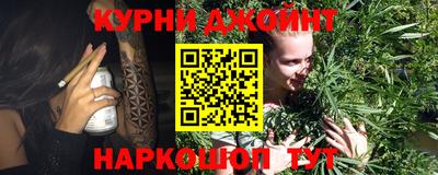 индика Нарткала
