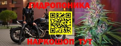гашик Наро-Фоминск